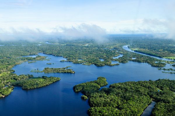 Jornalistas e influencers evangélicos dialogam com cientistas climáticos